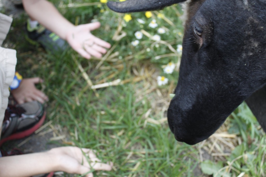 Bust summer boredom with summer camp at home #summer #kids